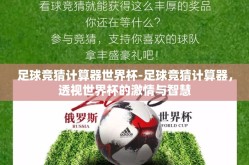 足球竞猜计算器世界杯-足球竞猜计算器，透视世界杯的激情与智慧
