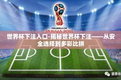 世界杯下注入口-揭秘世界杯下注——从安全选择到多彩比拼