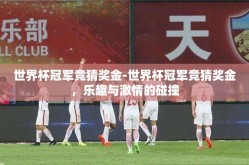 世界杯冠军竞猜奖金-世界杯冠军竞猜奖金，乐趣与激情的碰撞