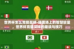 世界杯怎么竞猜买球-绿茵场上的智慧较量，世界杯竞猜买球的趣谈与技巧