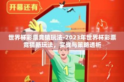 世界杯彩票竞猜玩法-2023年世界杯彩票竞猜新玩法，实战与策略透析