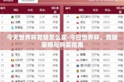 今天世界杯竞猜怎么买-今日世界杯，竞猜策略与购买指南