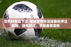 世界杯怎么下注-揭秘世界杯足球赛的押注策略，理性押注，享受赛事激情