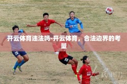 开云体育违法吗-开云体育，合法边界的考量