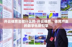 开云体育是做什么的-开云体育，体育产业的数字化新引擎