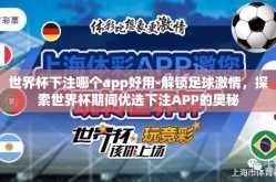 世界杯下注哪个app好用-解锁足球激情，探索世界杯期间优选下注APP的奥秘