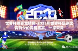 世界杯体彩竞猜网-2023年世界杯足球比赛前夕的竞猜盛宴，一探究竟