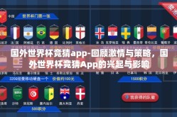 国外世界杯竞猜app-回顾激情与策略，国外世界杯竞猜App的兴起与影响