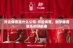 开云体育是什么公司-开云体育，数字体育娱乐的领航者