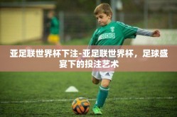 亚足联世界杯下注-亚足联世界杯，足球盛宴下的投注艺术