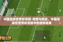 中国足球世界杯竞猜-激情与挑战，中国足球在世界杯竞猜中的独特视角