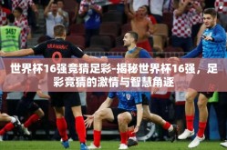 世界杯16强竞猜足彩-揭秘世界杯16强,足彩竞猜的激情与智慧角逐