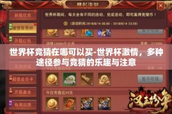 世界杯竞猜在哪可以买-世界杯激情，多种途径参与竞猜的乐趣与注意