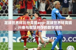 足球世界杯比分竞猜app-足球世界杯竞猜，兴奋与智慧并存的数字游戏