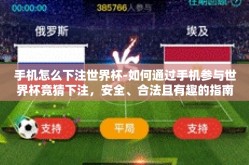 手机怎么下注世界杯-如何通过手机参与世界杯竞猜下注，安全、合法且有趣的指南