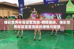 体彩世界杯冠亚军竞猜-燃情赛场，体彩世界杯冠亚军竞猜的激情与智慧