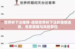 世界杯下注推荐-透视世界杯下注的理智选择，名家策略与风险管控
