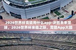 2026世界杯竞猜用什么app-决胜未来足球,2026世界杯来临之际,竞猜App大回顾与推荐