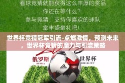 世界杯竞猜冠军引流-点燃激情，预测未来，世界杯竞猜的魔力与引流策略