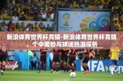 新浪体育世界杯竞猜-新浪体育世界杯竞猜，个中奥妙与球迷热潮探析