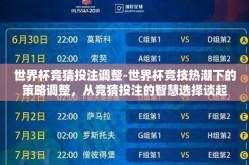 世界杯竞猜投注调整-世界杯竞技热潮下的策略调整，从竞猜投注的智慧选择谈起
