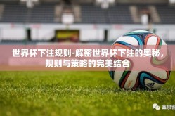 世界杯下注规则-解密世界杯下注的奥秘，规则与策略的完美结合