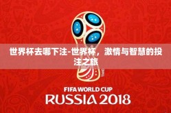 世界杯去哪下注-世界杯，激情与智慧的投注之旅