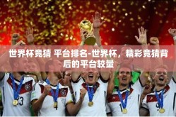 世界杯竞猜 平台排名-世界杯，精彩竞猜背后的平台较量