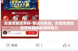 彩票竞猜世界杯-幸运与预测，彩票竞猜在世界杯期间的独特魅力