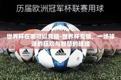 世界杯在哪可以竞猜-世界杯竞猜，一场球迷的狂欢与智慧的碰撞