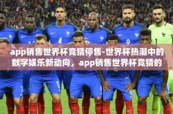 app销售世界杯竞猜停售-世界杯热潮中的数字娱乐新动向，app销售世界杯竞猜的激增与停售审视