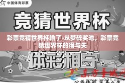 彩票竞猜世界杯输了-从梦碎奖池，彩票竞猜世界杯的得与失