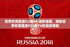 世界杯竞猜录fc3典tv-逐梦绿茵，揭秘世界杯竞猜录FC3典TV的足球奇旅