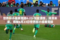 世界杯小组赛竞猜6.23-驾驭激情，预测未来，揭秘6月23日世界杯小组赛竞猜
