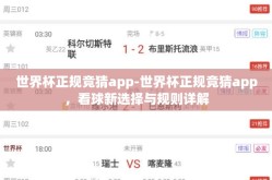 世界杯正规竞猜app-世界杯正规竞猜app，看球新选择与规则详解