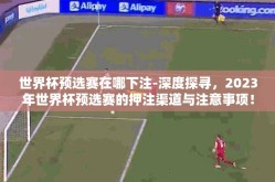世界杯预选赛在哪下注-深度探寻，2023年世界杯预选赛的押注渠道与注意事项！