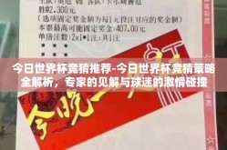 今日世界杯竞猜推荐-今日世界杯竞猜策略全解析，专家的见解与球迷的激情碰撞