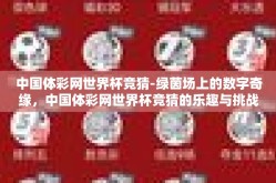中国体彩网世界杯竞猜-绿茵场上的数字奇缘，中国体彩网世界杯竞猜的乐趣与挑战