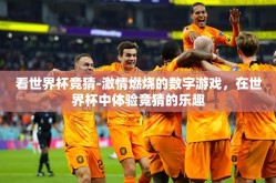 看世界杯竞猜-激情燃烧的数字游戏，在世界杯中体验竞猜的乐趣