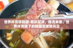 世界杯竞猜韩国-精彩足球，韩流来袭，世界杯竞猜下的韩国足球新风云