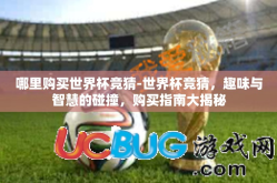 哪里购买世界杯竞猜-世界杯竞猜，趣味与智慧的碰撞，购买指南大揭秘