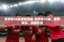 世界杯16强竞猜选谁-世界杯16强，激情预测，蓝图尽显