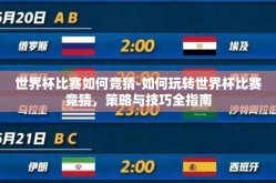 世界杯比赛如何竞猜-如何玩转世界杯比赛竞猜，策略与技巧全指南