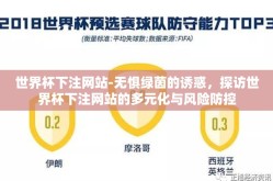 世界杯下注网站-无惧绿茵的诱惑，探访世界杯下注网站的多元化与风险防控