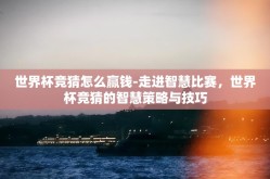 世界杯竞猜怎么赢钱-走进智慧比赛，世界杯竞猜的智慧策略与技巧