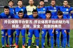 开云体育平台官方-开云体育平台的魅力与挑战，正规、安全、创新的典范