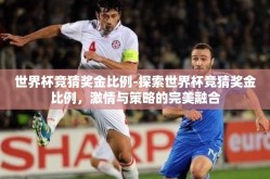 世界杯竞猜奖金比例-探索世界杯竞猜奖金比例，激情与策略的完美融合
