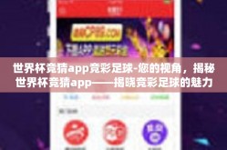 世界杯竞猜app竞彩足球-您的视角，揭秘世界杯竞猜app——揭晓竞彩足球的魅力与技巧
