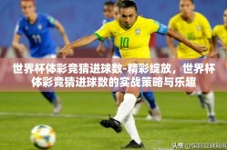 世界杯体彩竞猜进球数-精彩绽放，世界杯体彩竞猜进球数的实战策略与乐趣
