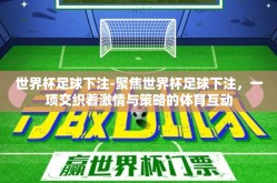 世界杯足球下注-聚焦世界杯足球下注，一项交织着激情与策略的体育互动